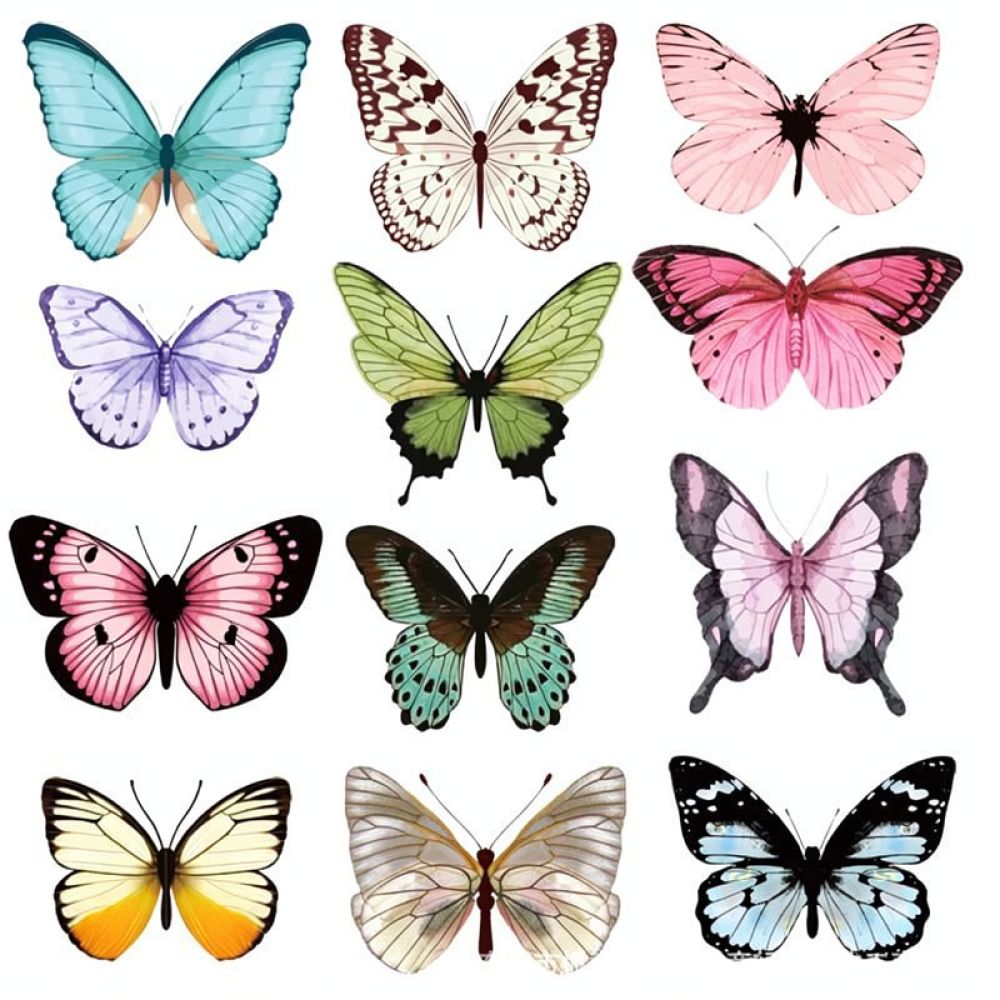 Stiker Dinding PVC Kupu-Kupu B - Art And Craft For Nursery ulasan dan harga